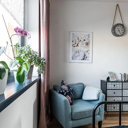 Apartment New Spacious With View